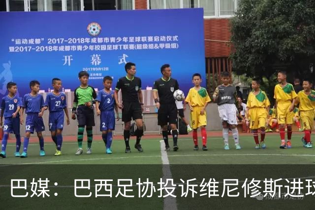 巴媒：巴西足协投诉维尼修斯进球被吹，引用梅西进球有效判例