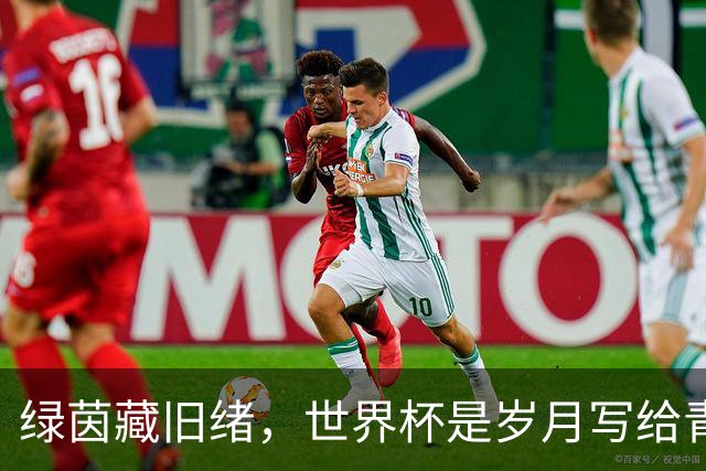 绿茵藏旧绪，世界杯是岁月写给青春的信