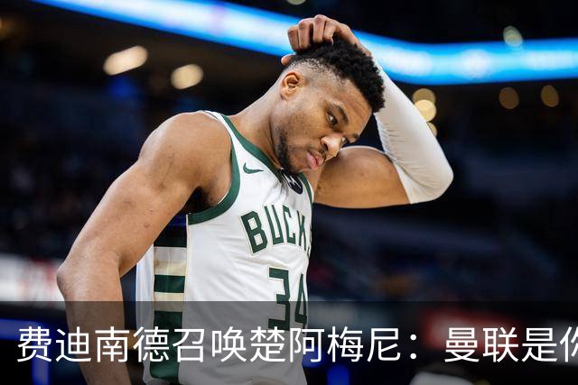 费迪南德召唤楚阿梅尼：曼联是你的唯一归宿，想成事的话就来吧！